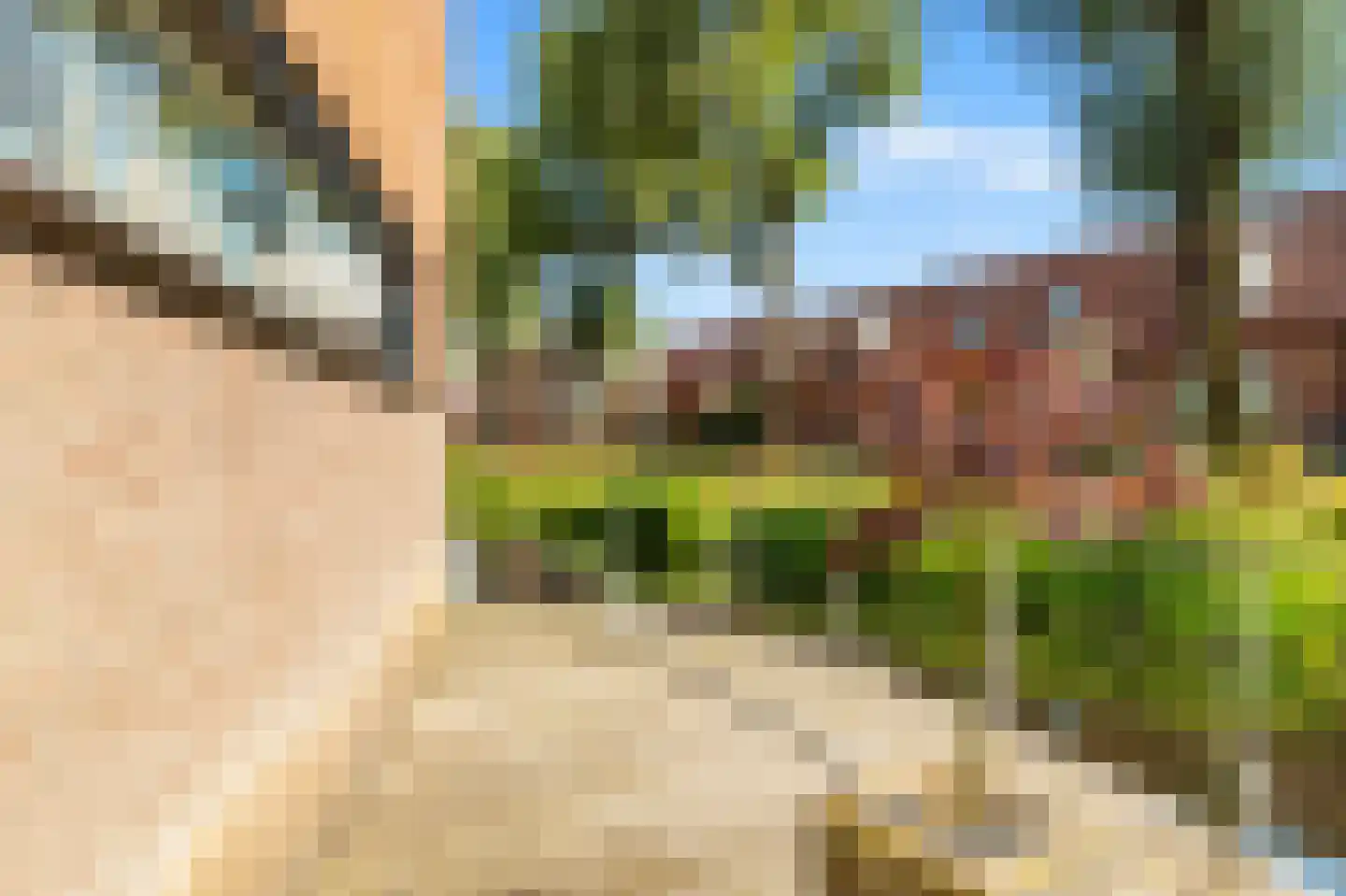 Jo Vincentstraat 21 Castricum thumbnail 15