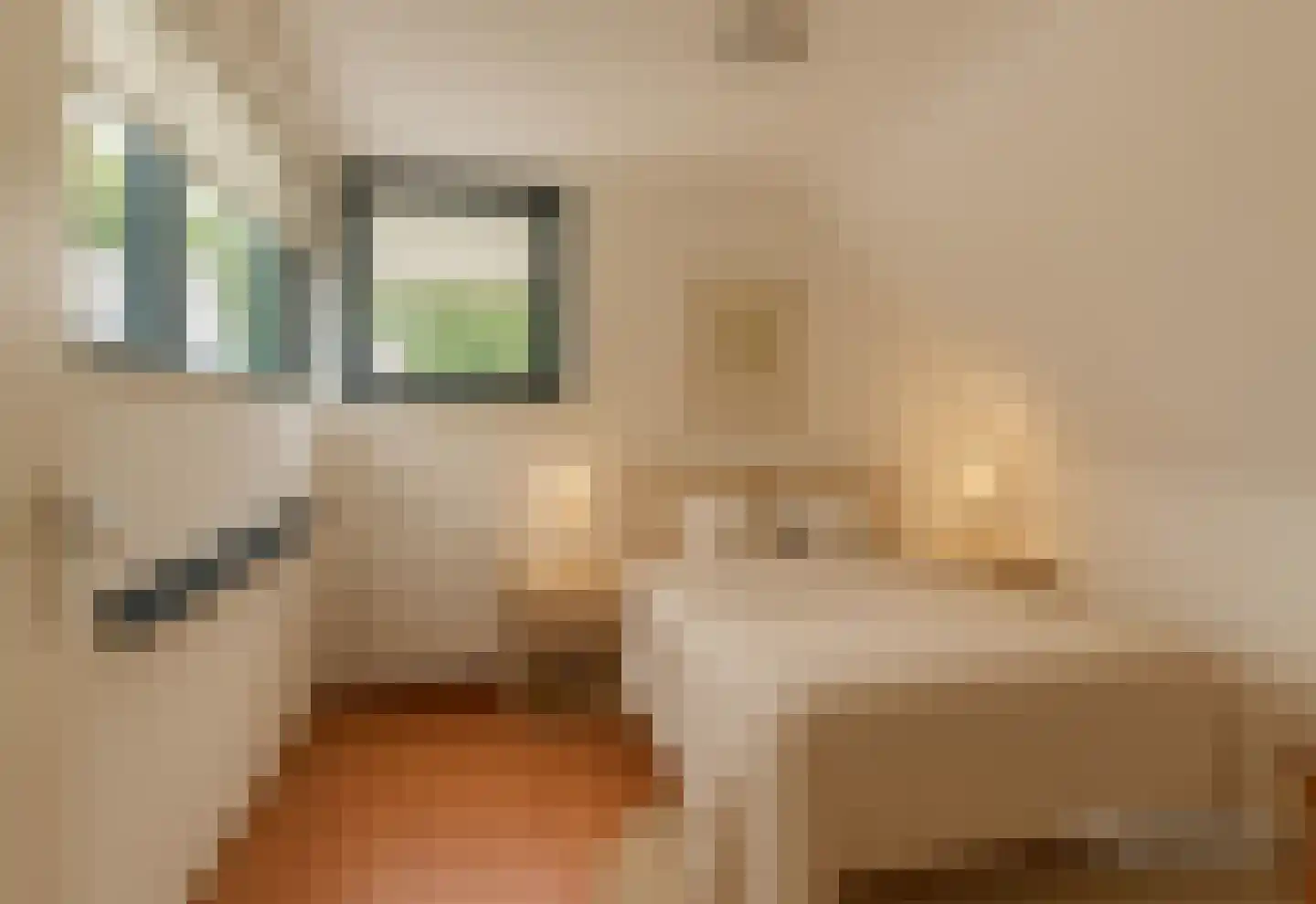Jo Vincentstraat 21 Castricum thumbnail 30