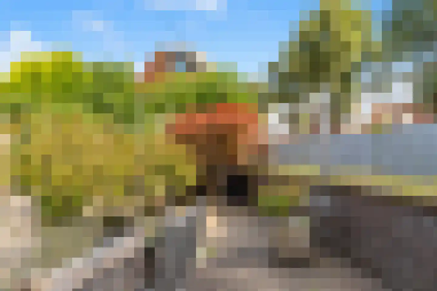 Jo Vincentstraat 21 Castricum thumbnail 35