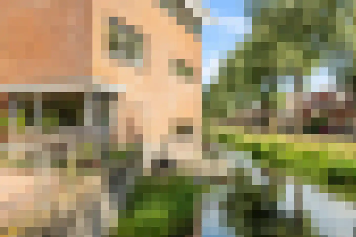 Jo Vincentstraat 21 Castricum thumbnail 44