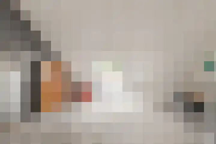 Jo Vincentstraat 24 Castricum thumbnail 34