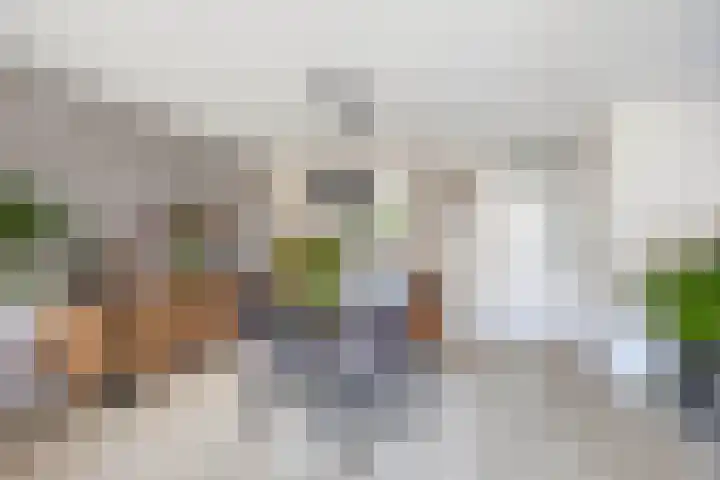 Jo Vincentstraat 3 Lisse thumbnail 11