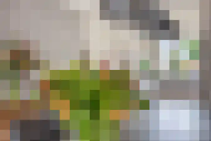 Jo Vincentstraat 3 Lisse thumbnail 12