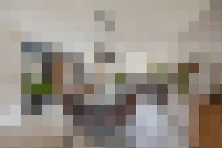 Jo Vincentstraat 3 Lisse thumbnail 13