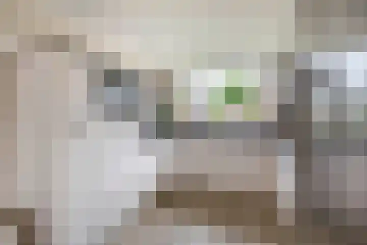 Jo Vincentstraat 3 Lisse thumbnail 14