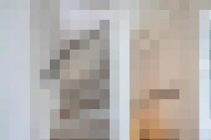 Jo Vincentstraat 3 Lisse thumbnail 29