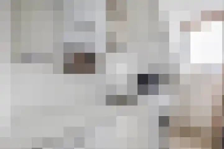 Jo Vincentstraat 3 Lisse thumbnail 32