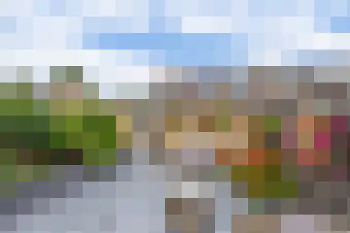 Jo Vincentstraat 3 Lisse thumbnail 34