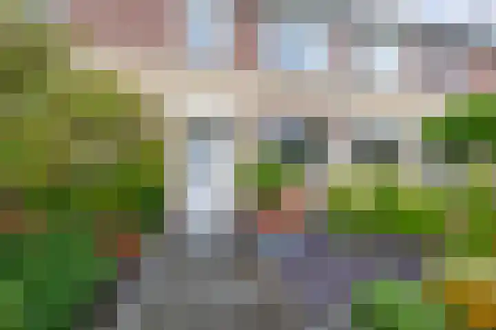 Jo Vincentstraat 3 Lisse thumbnail 4