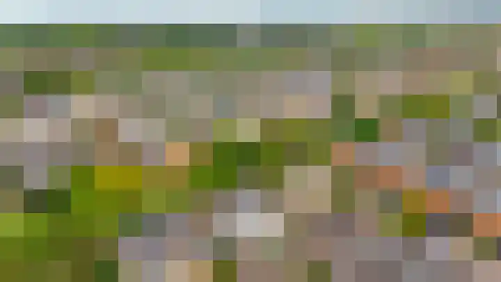 Jo Vincentstraat 3 Lisse thumbnail 41