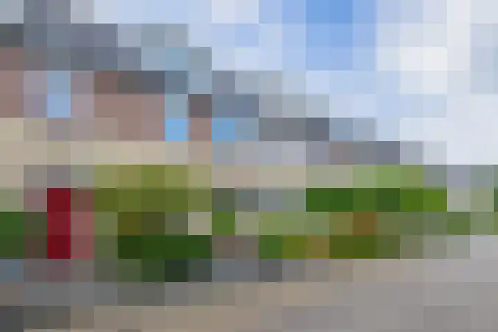 Jo Vincentstraat 3 Lisse thumbnail 48