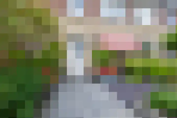 Jo Vincentstraat 3 Lisse thumbnail 49