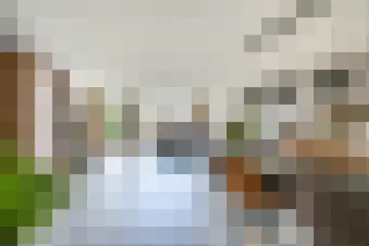 Jo Vincentstraat 3 Lisse thumbnail 5