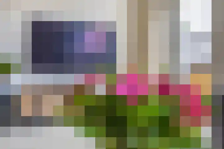 Jo Vincentstraat 3 Lisse thumbnail 9