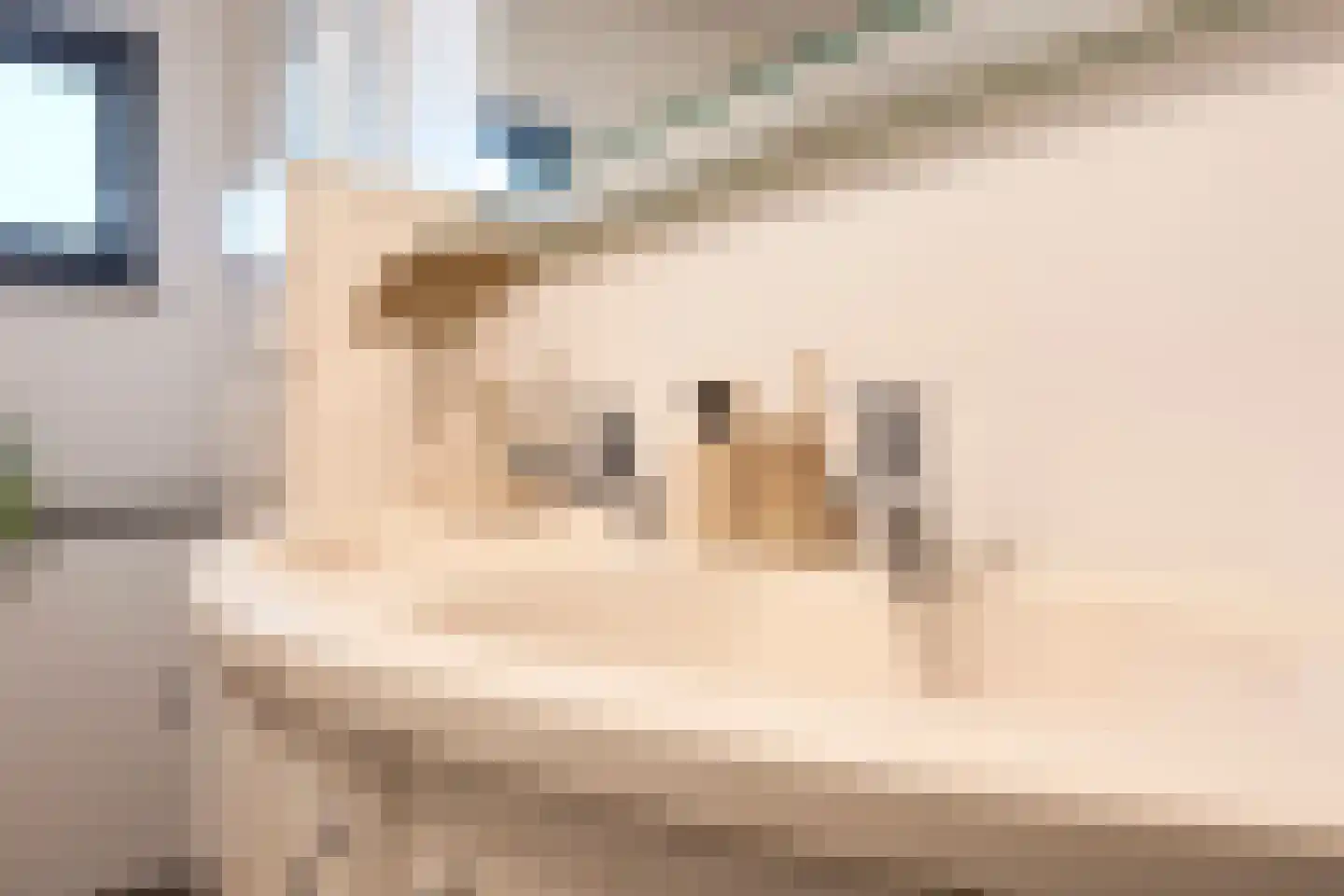 Jo Wüthrichlaan 27 Utrecht thumbnail 39