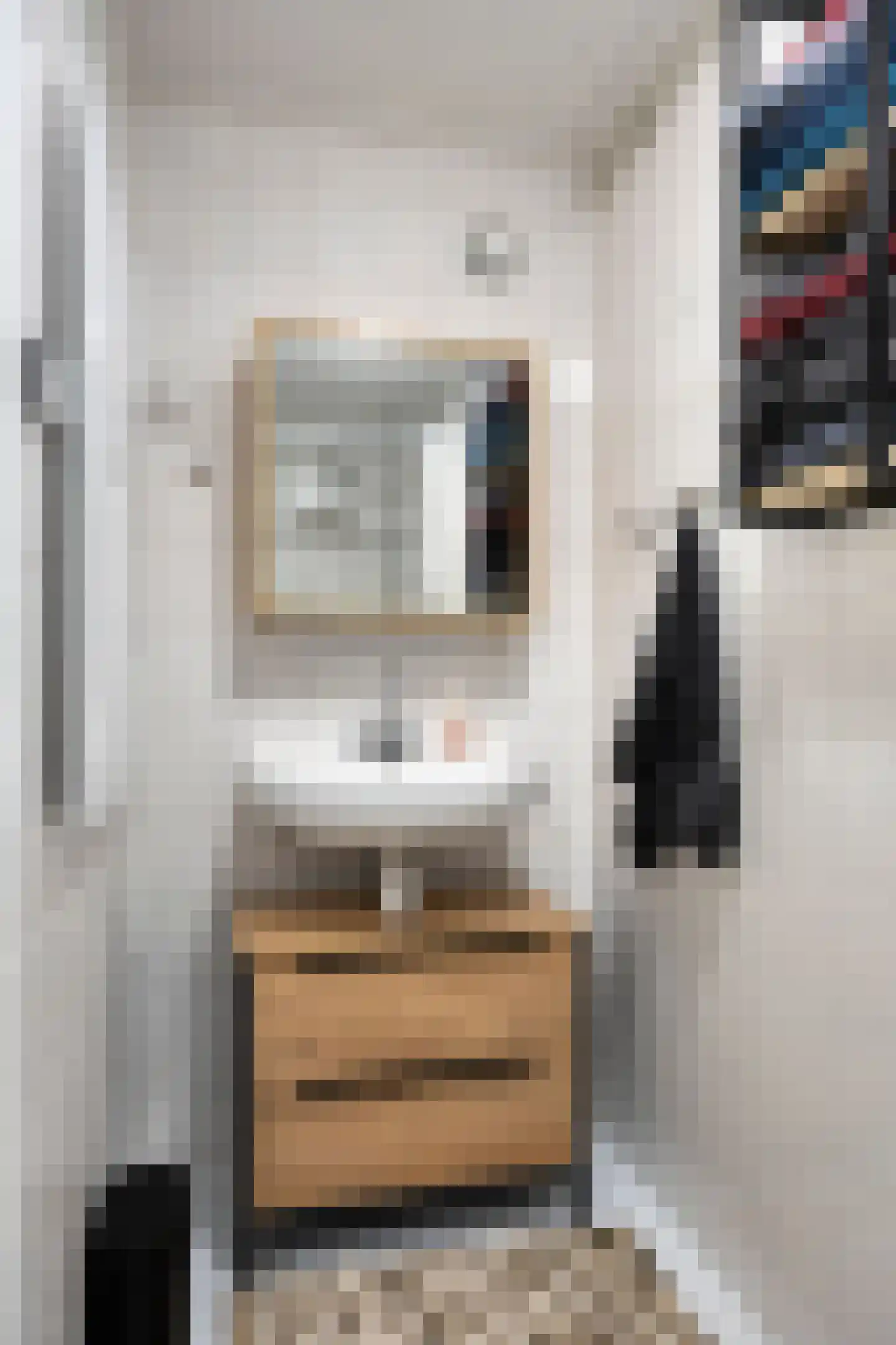 Joachim Altinghstraat 11 Groningen thumbnail 14