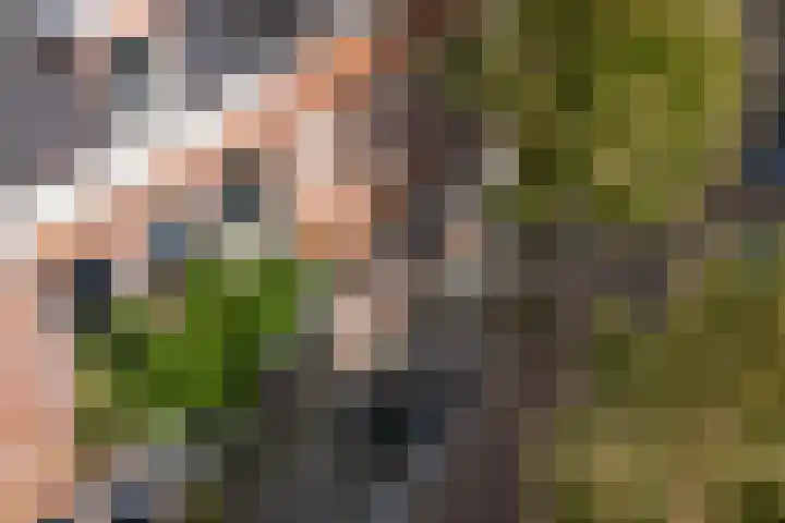 Joachim Altinghstraat 16 Groningen thumbnail 42