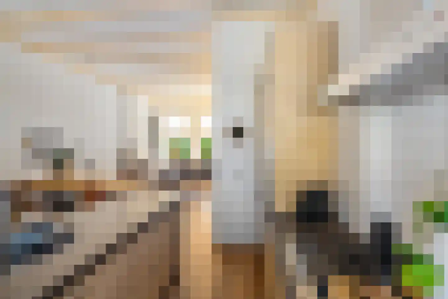 Joachim Altinghstraat 20 a Groningen thumbnail 13