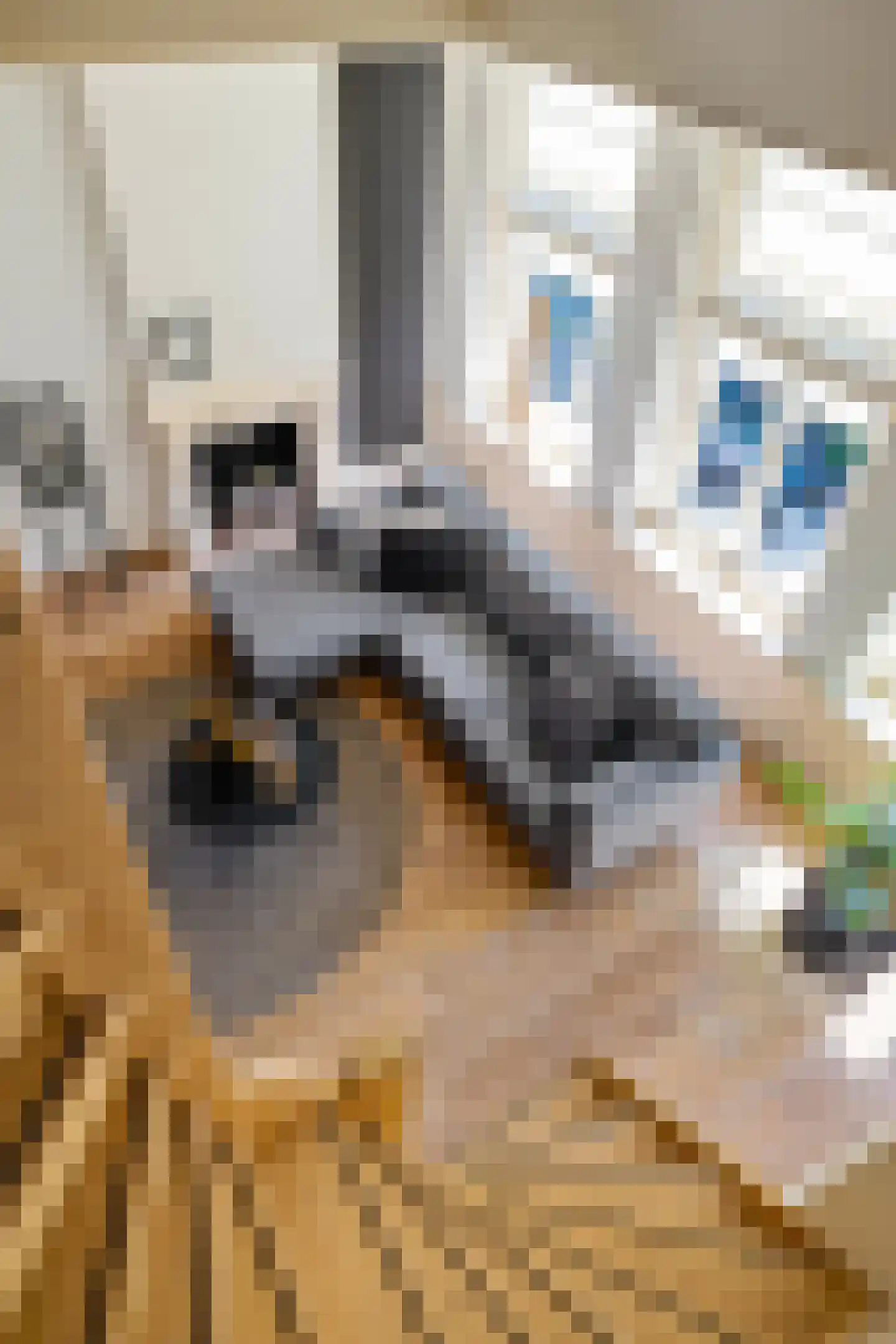 Joachim Altinghstraat 20 a Groningen thumbnail 18