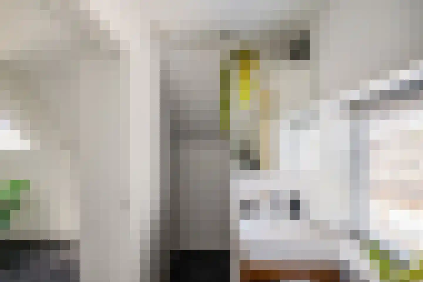 Joachim Altinghstraat 20 a Groningen thumbnail 22