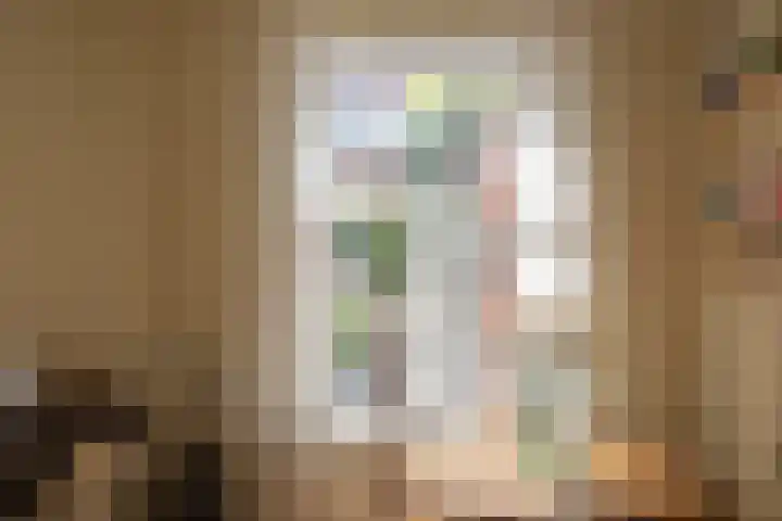 Joachim Altinghstraat 21 Groningen thumbnail 11
