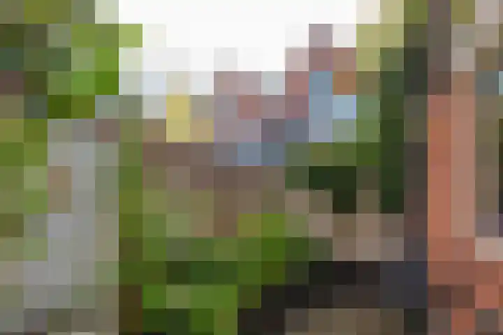 Joachim Altinghstraat 21 Groningen thumbnail 17