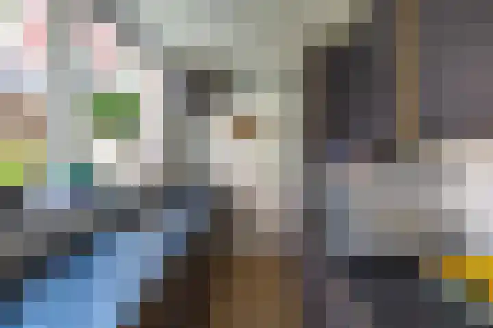 Joachim Altinghstraat 21 Groningen thumbnail 18