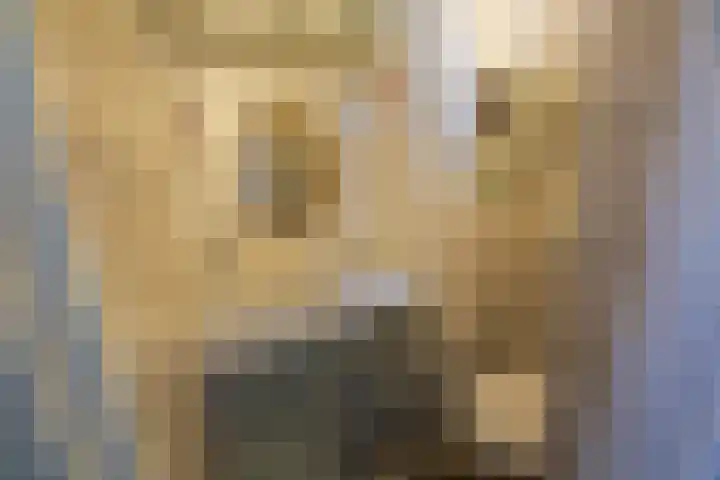 Joachim Altinghstraat 21 Groningen thumbnail 20