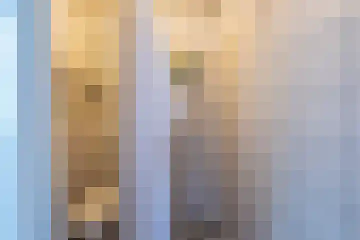 Joachim Altinghstraat 21 Groningen thumbnail 21