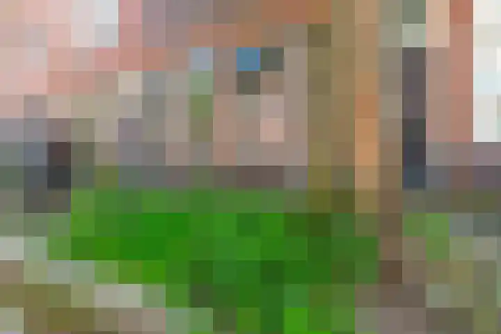 Joachim Altinghstraat 21 Groningen thumbnail 24