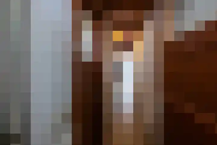 Joachim Altinghstraat 21 Groningen thumbnail 8