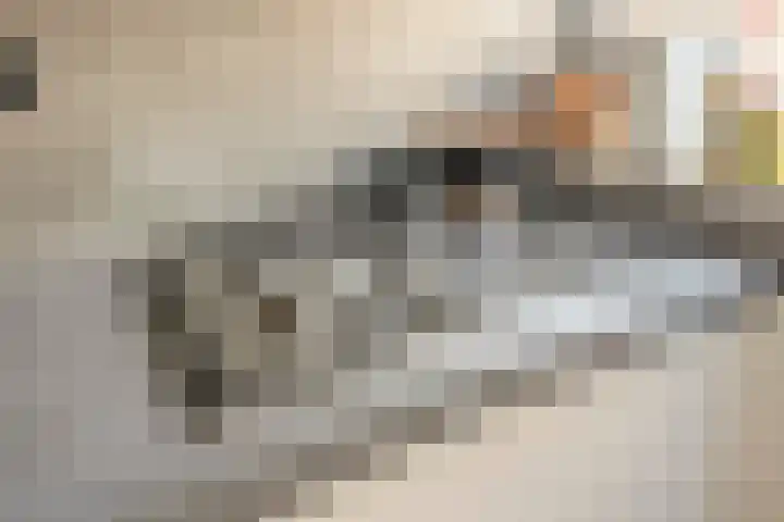 Joachim Oudaanstraat 14 Rijnsburg thumbnail 12