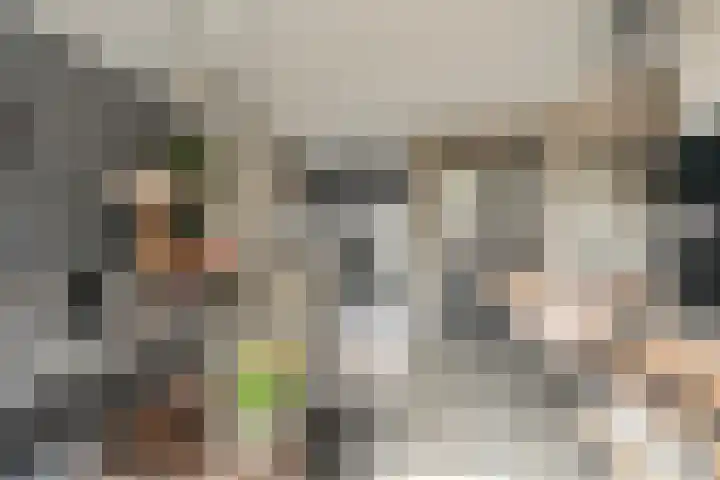 Joachim Oudaanstraat 14 Rijnsburg thumbnail 7