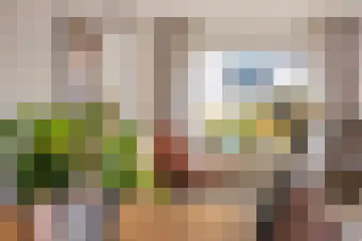 Joachimsdaalder 7 Dronten thumbnail 11