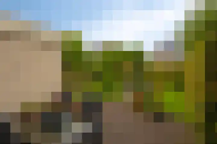 Joachimsdaalder 7 Dronten thumbnail 30