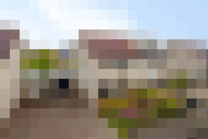 Joachimsdaalder 7 Dronten thumbnail 37