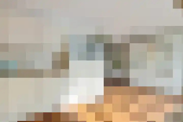 Joachimsdaalder 8 Dronten thumbnail 12