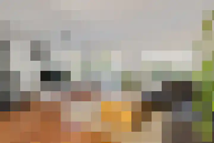 Joachimsdaalder 8 Dronten thumbnail 16
