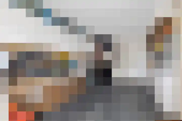 Joachimsdaalder 8 Dronten thumbnail 19