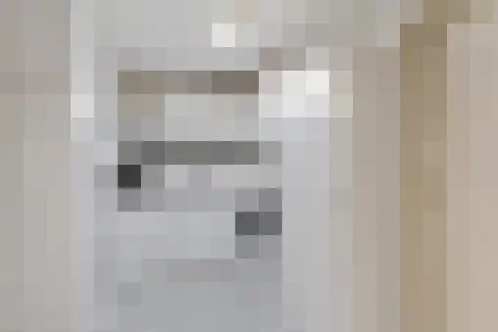Joachimsdaalder 8 Dronten thumbnail 21