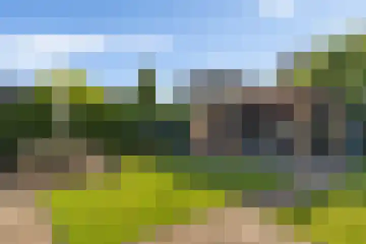 Joachimsdaalder 8 Dronten thumbnail 33