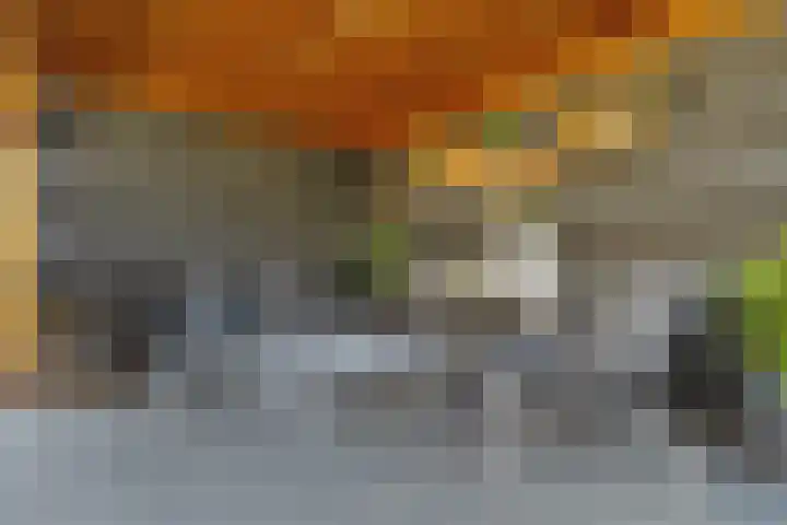 Joachimsdaalder 8 Dronten thumbnail 34