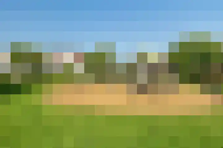 Joachimsdaalder 8 Dronten thumbnail 38