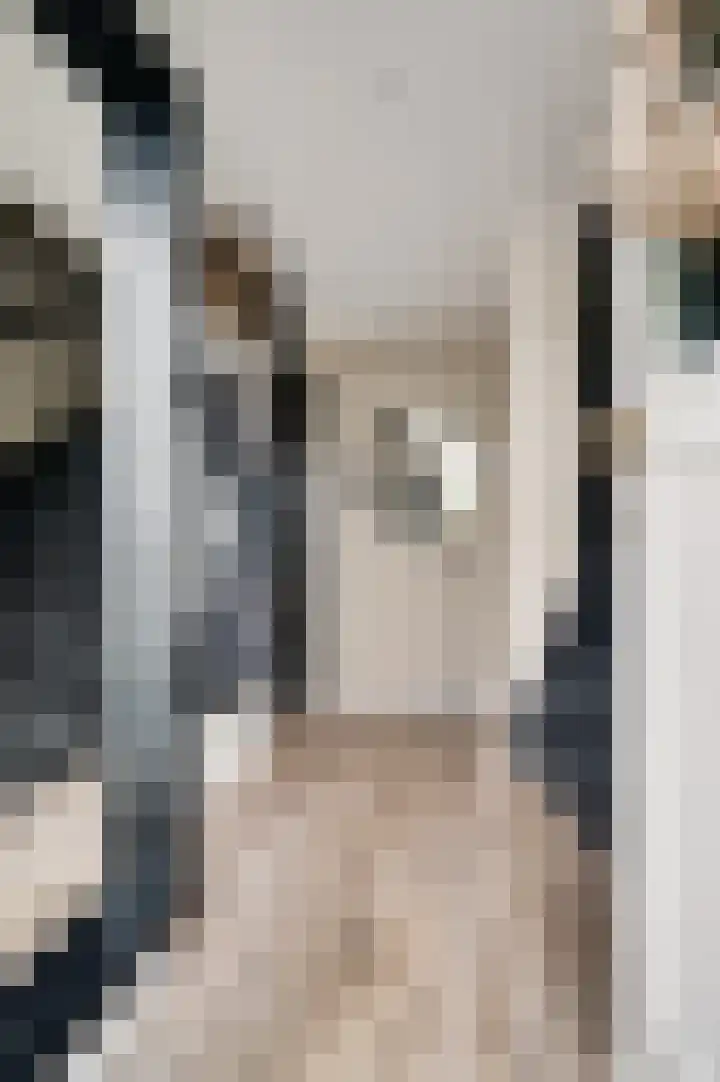 Joachimstraat 14 Stramproy thumbnail 12
