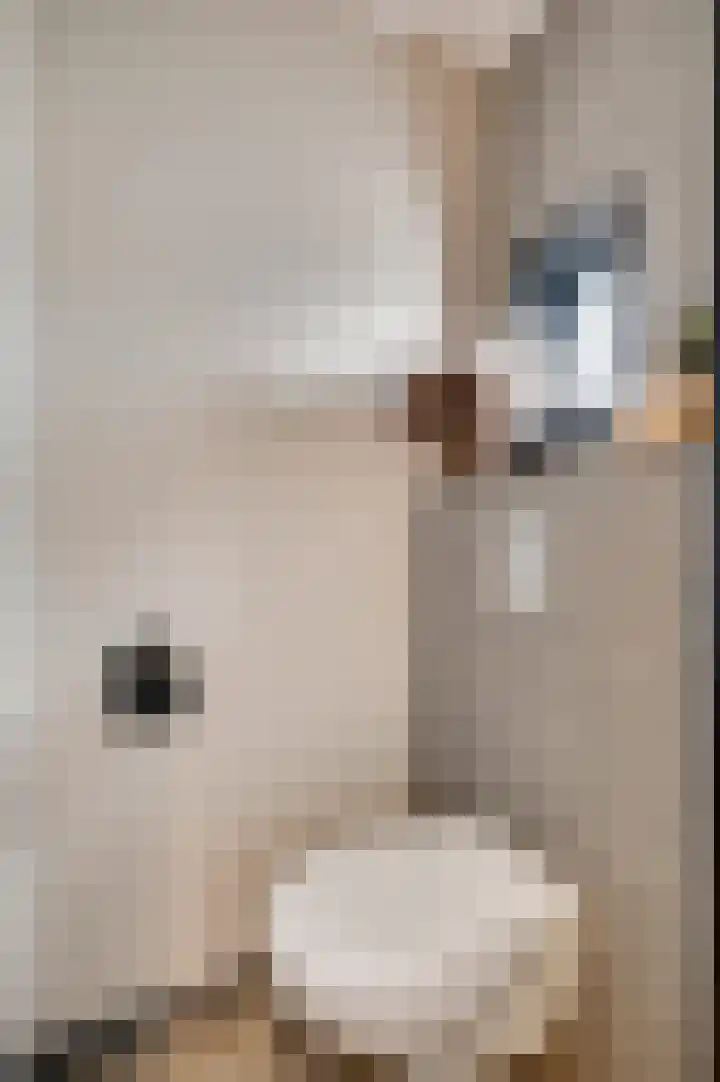 Joachimstraat 14 Stramproy thumbnail 13