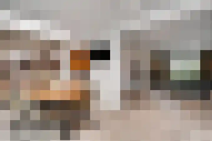 Joachimstraat 14 Stramproy thumbnail 23