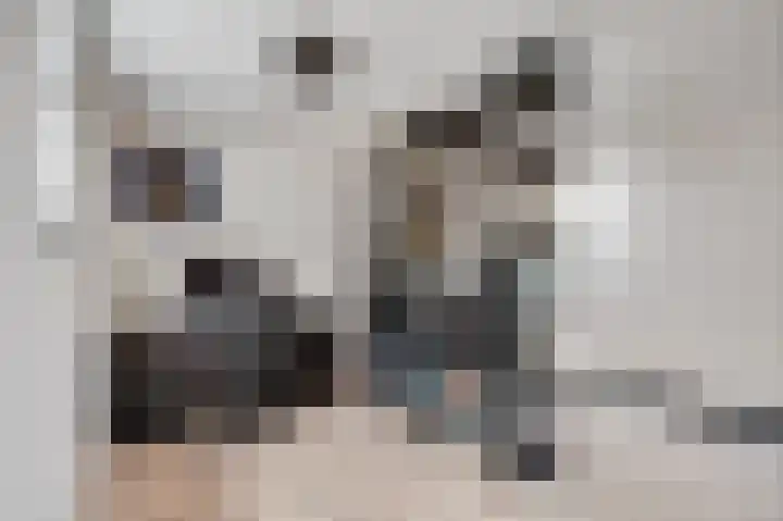 Joachimstraat 14 Stramproy thumbnail 24