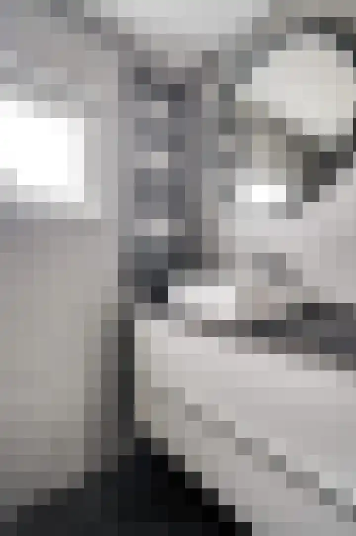 Joachimstraat 14 Stramproy thumbnail 31