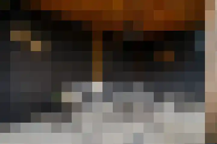 Joachimstraat 14 Stramproy thumbnail 34