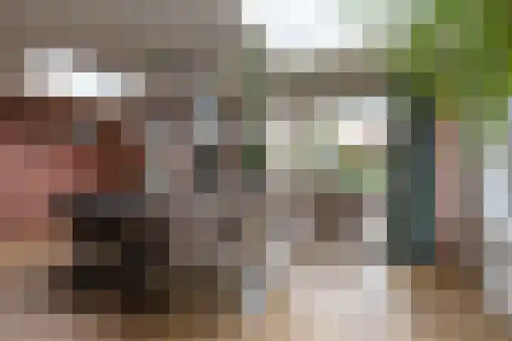 Joachimstraat 24 Stramproy thumbnail 14